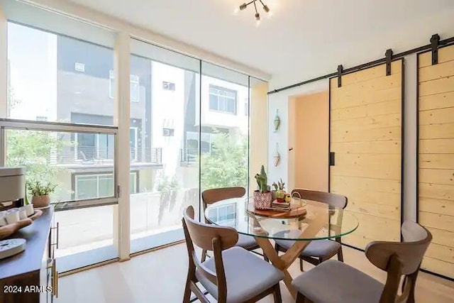 sunroom / solarium with plenty of natural light and a barn door