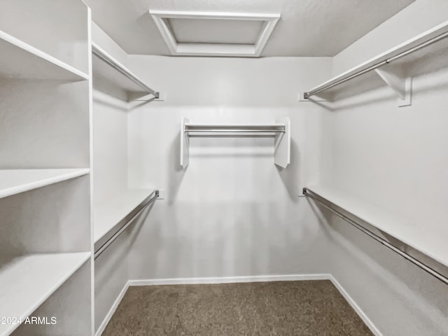 spacious closet with carpet floors