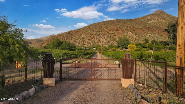 view of gate with fence and a mountain view