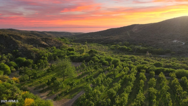 property view of mountains