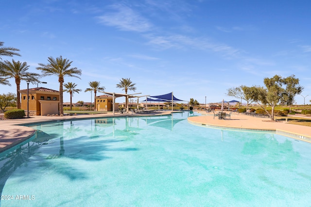 view of swimming pool with a patio