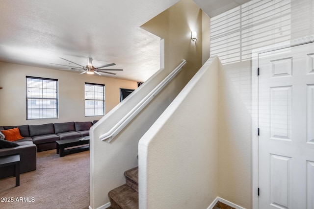 staircase with ceiling fan and carpet
