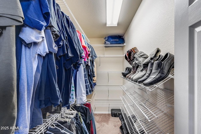spacious closet featuring carpet