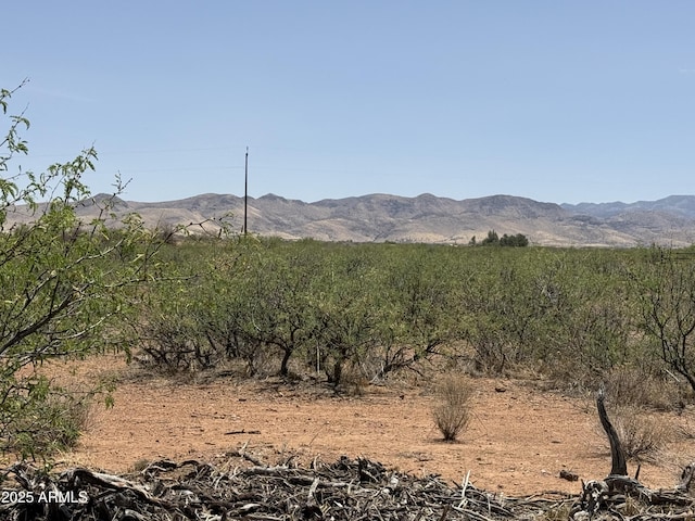 20AC S Price Ranch Rd -, Unit Pearce, AZ 85625