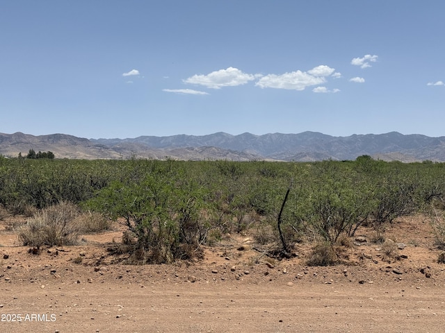 20AC S Price Ranch Rd -, Unit Pearce, AZ 85625