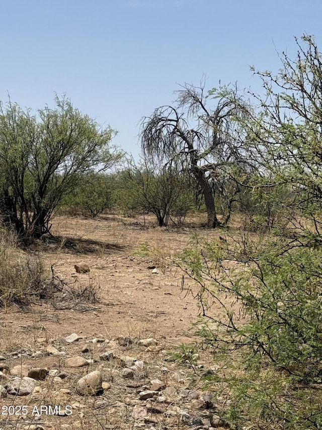 20AC S Price Ranch Rd -, Unit Pearce, AZ 85625