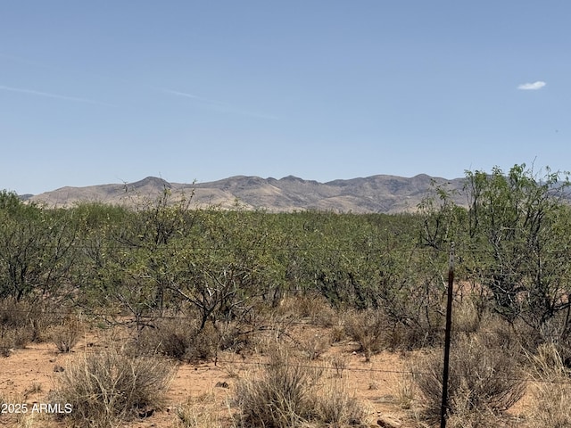 20AC S Price Ranch Rd -, Unit Pearce, AZ 85625