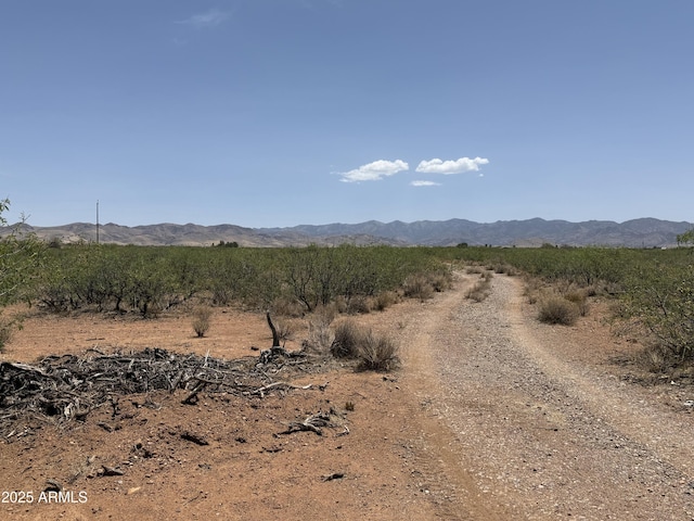 20AC S Price Ranch Rd -, Unit Pearce, AZ 85625