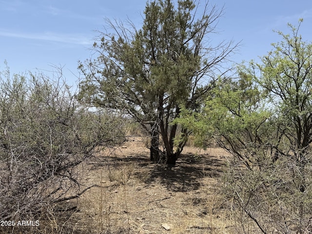 20AC S Price Ranch Rd -, Unit Pearce, AZ 85625