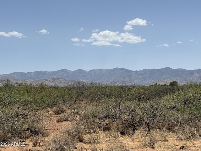 20AC S Price Ranch Rd -, Unit Pearce, AZ 85625
