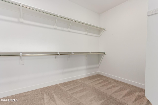 walk in closet featuring carpet floors