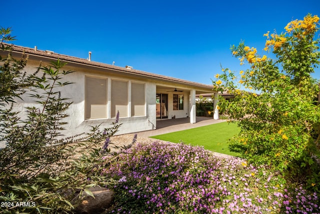 back of house with ceiling fan, a yard, and a patio