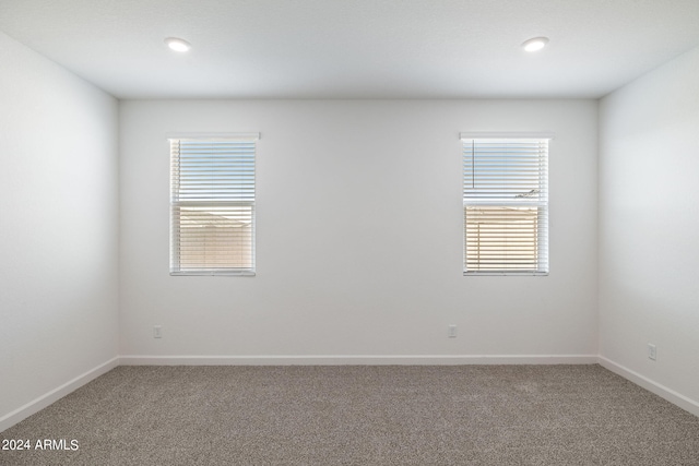 empty room with carpet flooring and plenty of natural light