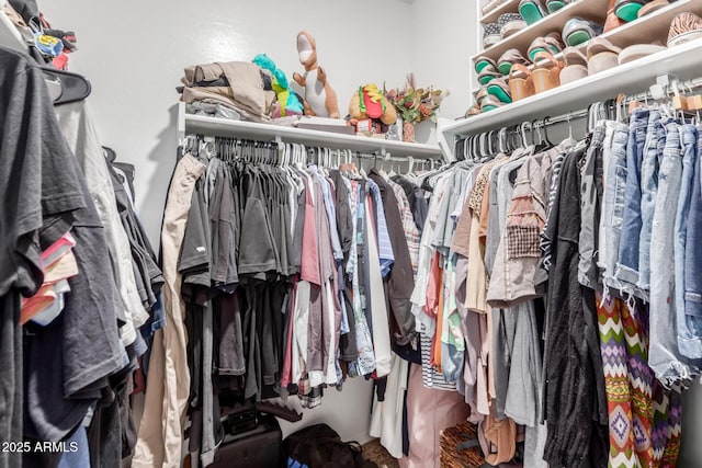 view of walk in closet