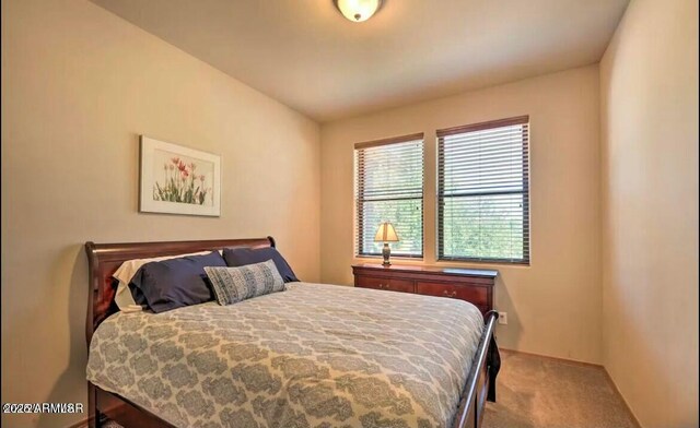 bedroom featuring carpet floors