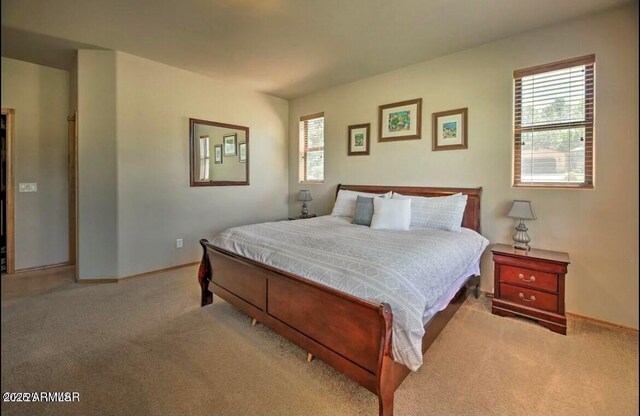 bedroom with baseboards, carpet flooring, and multiple windows