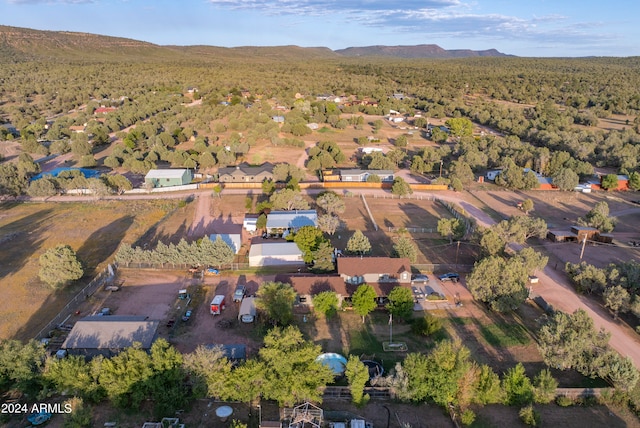 birds eye view of property with a mountain view