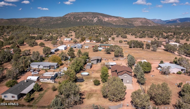 birds eye view of property featuring a mountain view