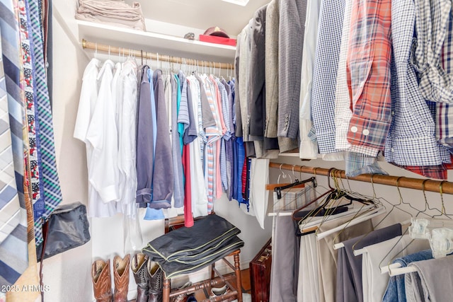 view of spacious closet