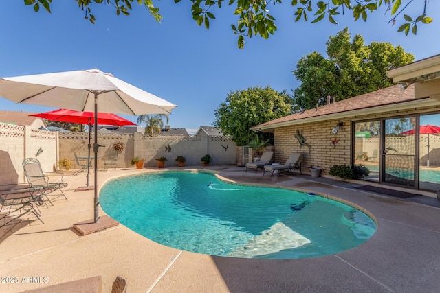 view of swimming pool with a patio