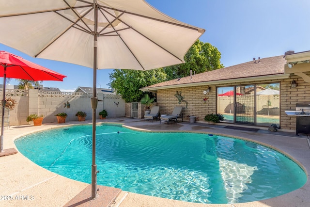 view of swimming pool with a patio