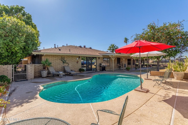 view of pool featuring a patio area