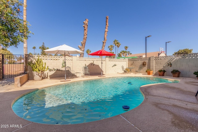 view of pool with a patio