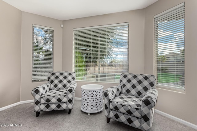 living area featuring a healthy amount of sunlight and carpet floors