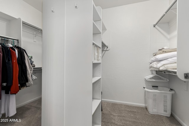 spacious closet featuring carpet floors