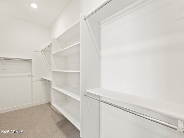 walk in closet with light carpet