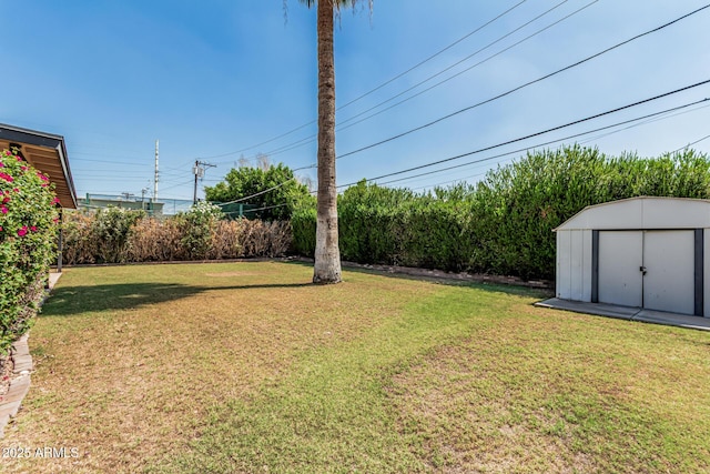 2807 N 8th Ave, Phoenix, AZ 85007 - view of grassy yard
