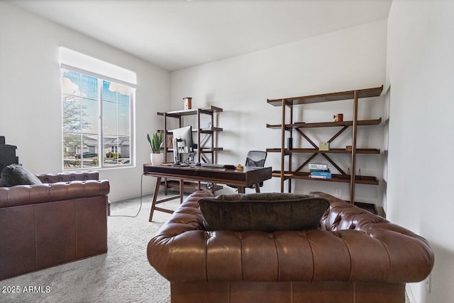 8521 S 67th Dr, Laveen, AZ 85339 - office space featuring carpet flooring
