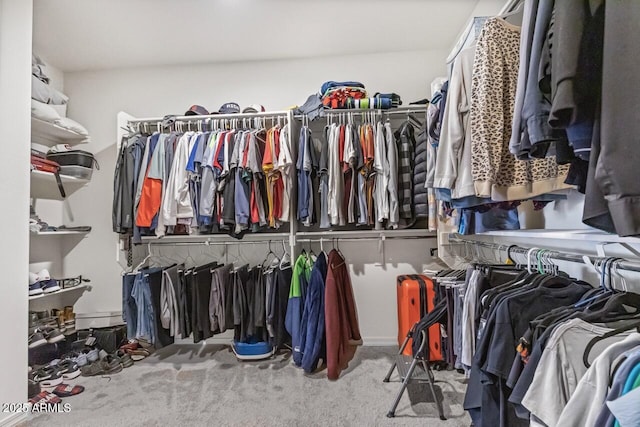 8521 S 67th Dr, Laveen, AZ 85339 - walk in closet featuring carpet floors