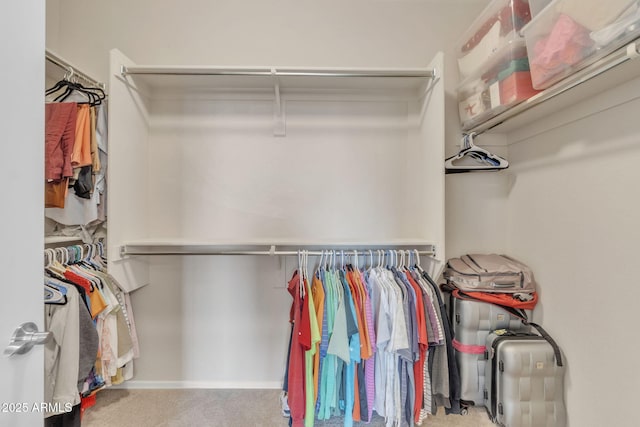 spacious closet with light colored carpet