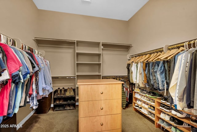 spacious closet featuring carpet flooring