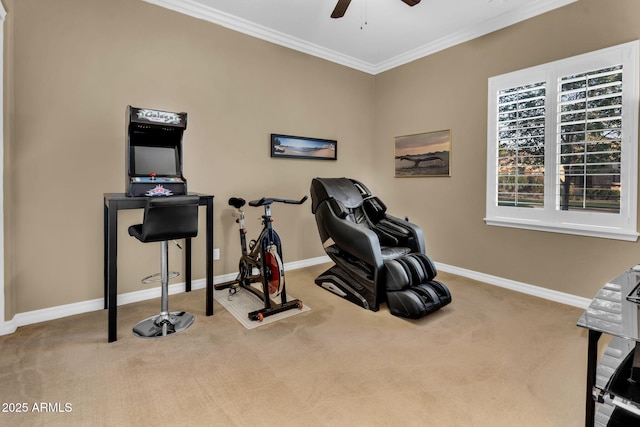 workout room featuring baseboards, carpet, ceiling fan, and crown molding