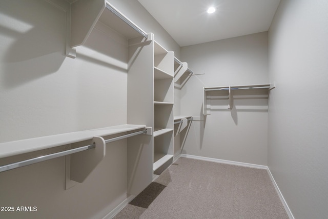 walk in closet featuring light carpet