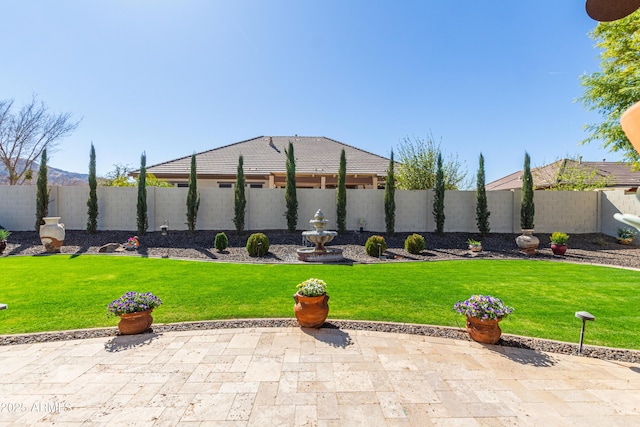 view of yard with a patio area and a fenced backyard