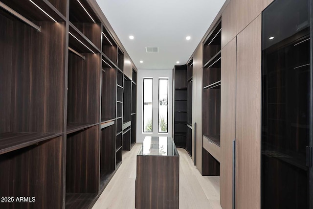 spacious closet with visible vents