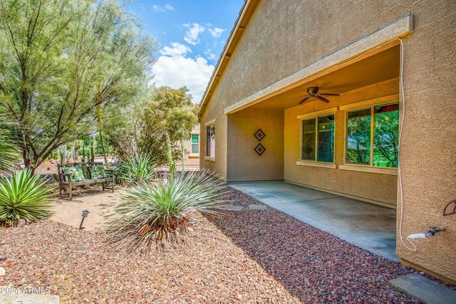 view of yard with a patio area and ceiling fan