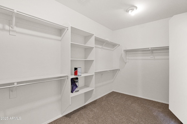 8710 N 182nd Ave, Waddell, AZ 85355 - spacious closet with dark carpet