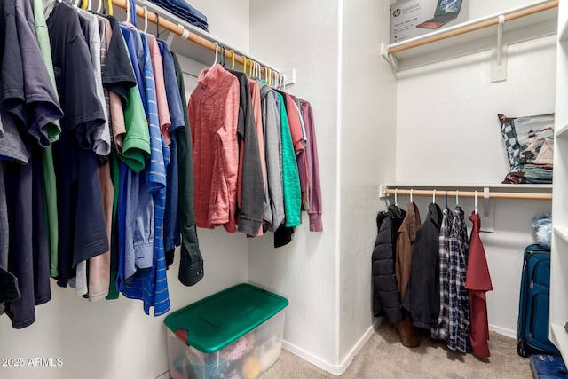 walk in closet with light carpet