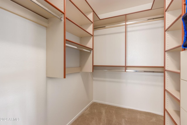 walk in closet with light colored carpet