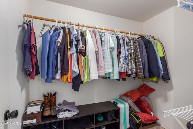 view of spacious closet