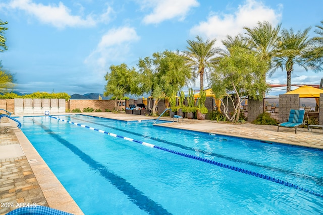 view of pool featuring a patio area