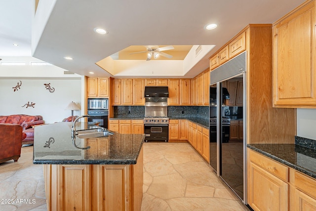 kitchen with gas range, stainless steel microwave, under cabinet range hood, a sink, and black oven