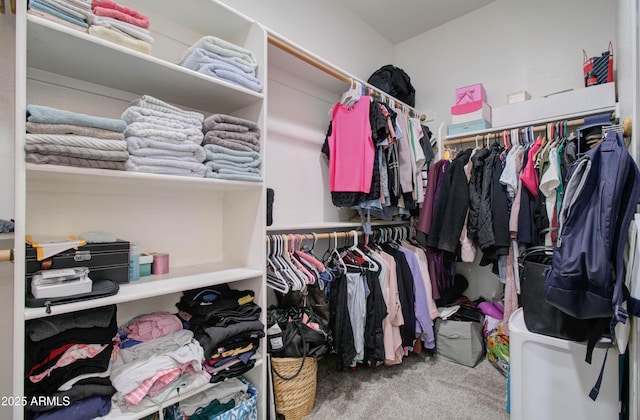 10402 E Javelina Ave, Mesa, AZ 85209 - spacious closet with carpet flooring