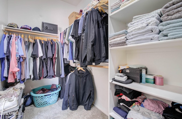 10402 E Javelina Ave, Mesa, AZ 85209 - walk in closet with carpet floors
