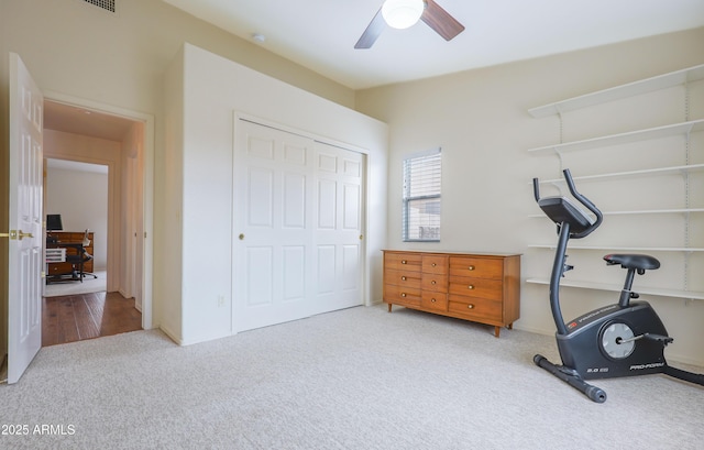 exercise room featuring carpet and a ceiling fan
