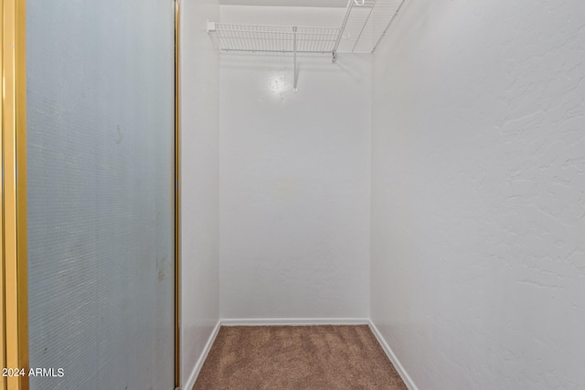 spacious closet featuring carpet floors